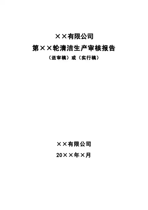 广东省编制持续清洁生产审核报告格式