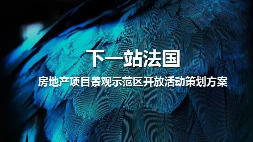 房地产项目景观示范区开放活动策划方案