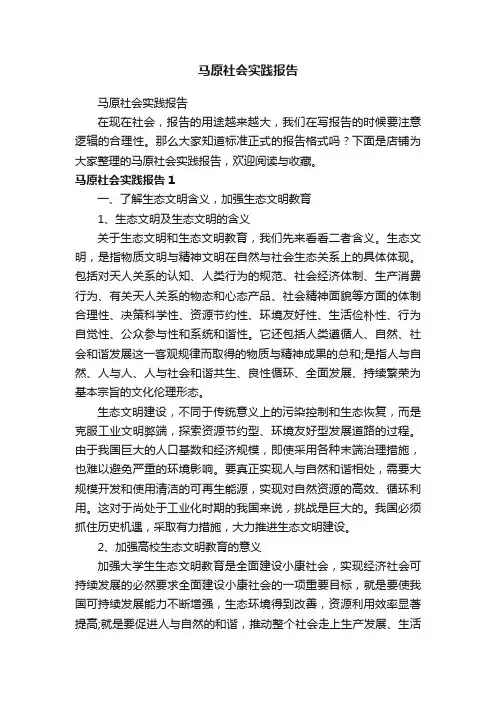 马原社会实践报告