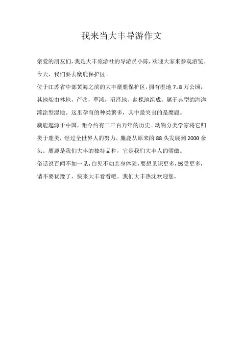 三年级导游词我来当大丰导游作文