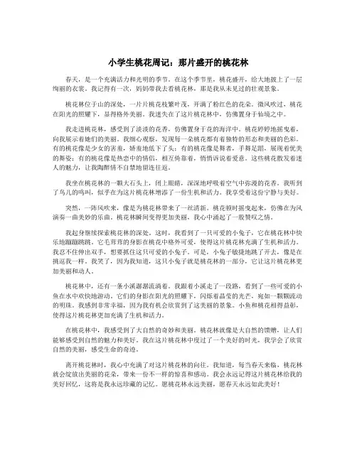 小学生桃花周记：那片盛开的桃花林