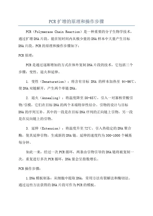 PCR扩增的原理和操作步骤