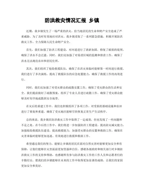 防洪救灾情况汇报 乡镇