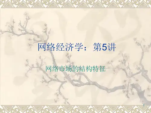 网络经济学第五讲PPT课件