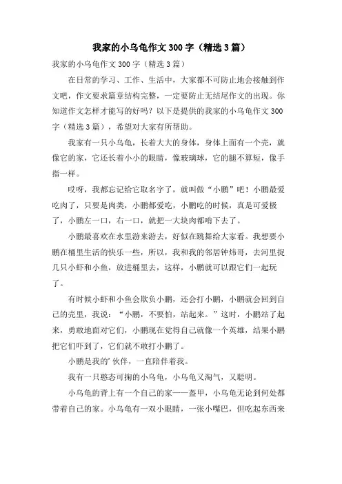 我家的小乌龟作文300字(3篇)