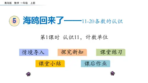 青岛版一年级数学上册 (海鸥回来了)课件(第1课时)