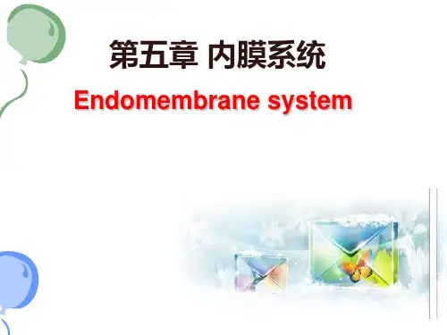 细胞生物学第五章(内膜系统)