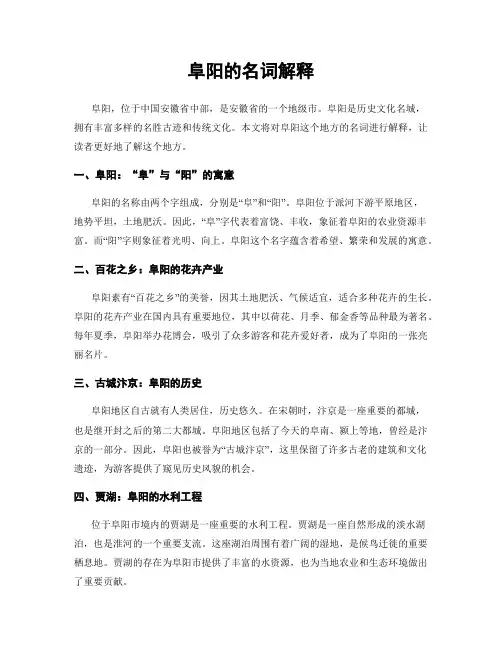 阜阳的名词解释
