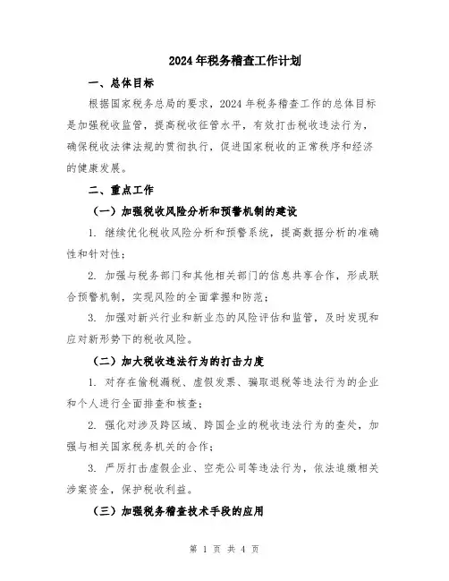 2024年税务稽查工作计划