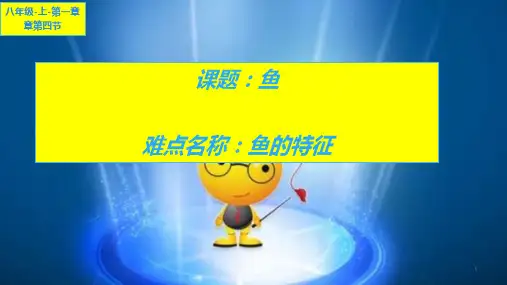 初中八年级上册生物《鱼》课件