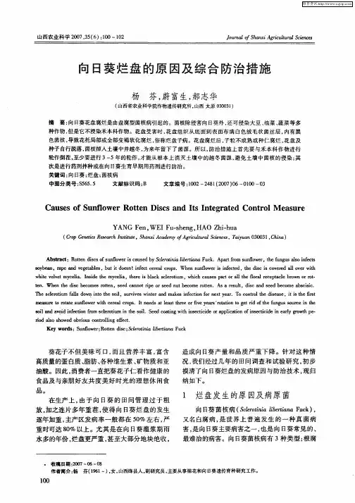 向日葵烂盘的原因及综合防治措施