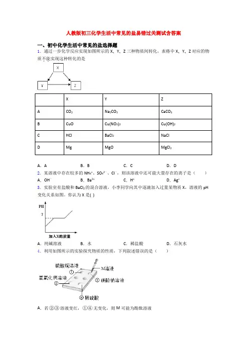 人教版初三化学生活中常见的盐易错过关测试含答案
