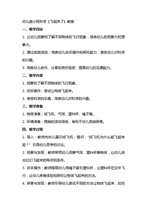 幼儿园小班科学《飞起来了》教案