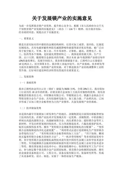 最新 关于发展镁产业的实施意见-精品