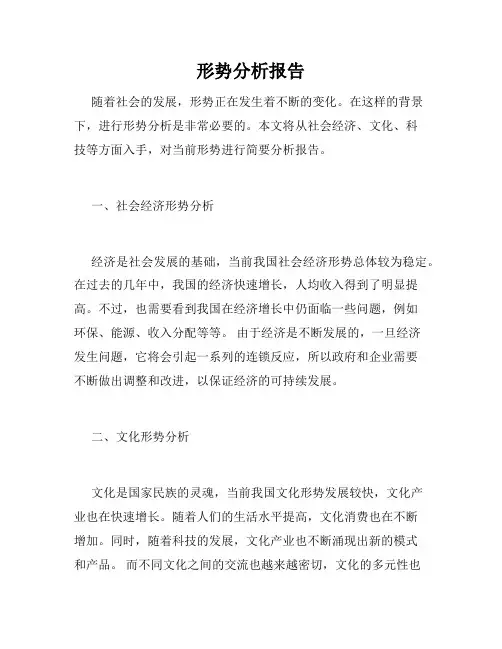 形势分析报告