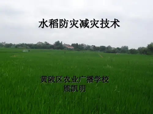 2016.11水稻防灾减灾技术