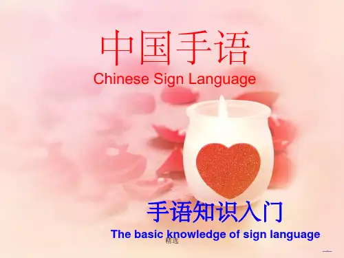手语知识入门PPT课件