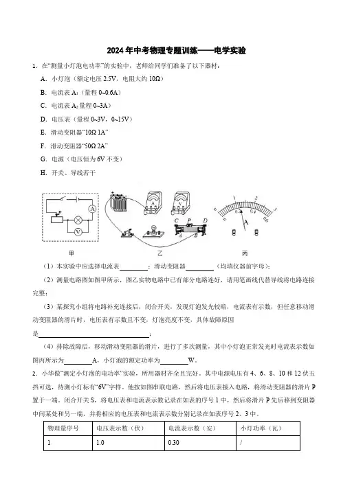 2024年中考物理专题训练——电学实验(含答案)