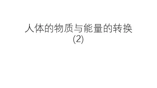 浙教版科学中考复习：人体的物质与能量的转换(2)PPT下载