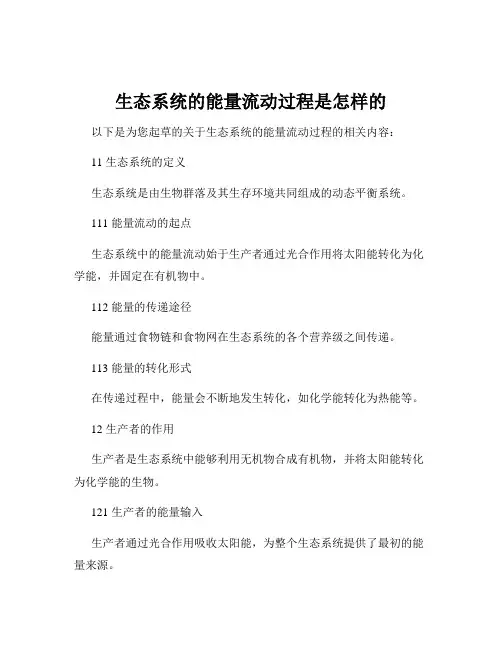 生态系统的能量流动过程是怎样的