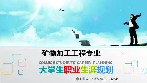 最新矿物加工工程专业大学生职业生涯规划比赛获奖答辩