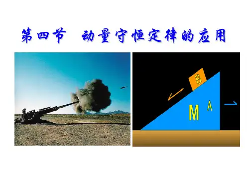 动量守恒定律典型模型