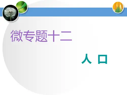 2020高考地理微专题突破课件：12微专题十二 人 口