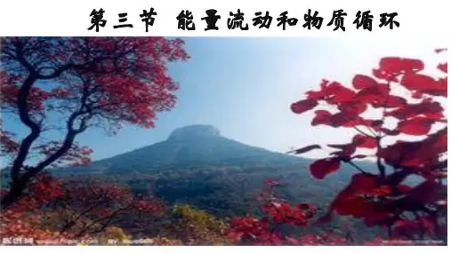 6.2.3  能量流动和物质循环  课件(34张PPT)-2023-2024学年济南版生物八年级下册