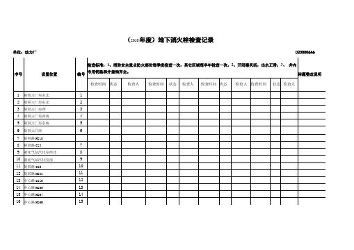 地下消火栓检查记录