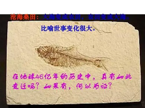 化石吟