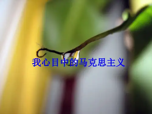 我心目中的马克思