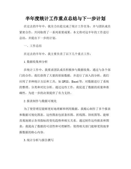 半年度统计工作重点总结与下一步计划