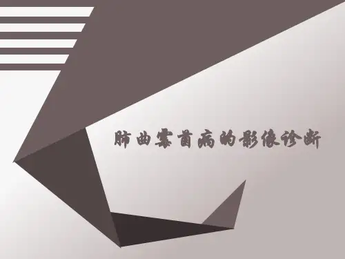 肺曲霉菌PPT课件
