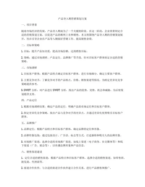 产品导入期营销策划方案