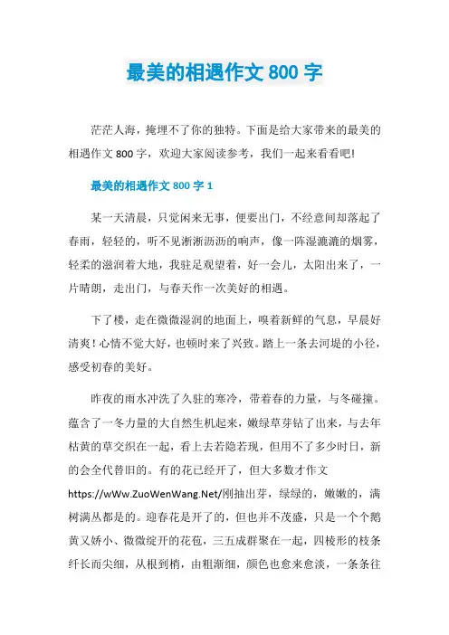 最美的相遇作文800字