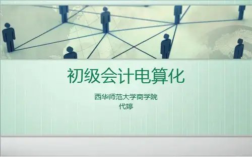 会计电算化概述