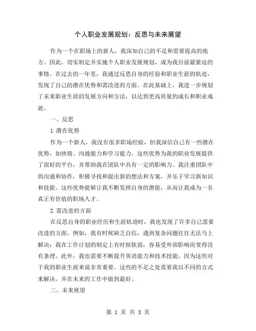 个人职业发展规划：反思与未来展望