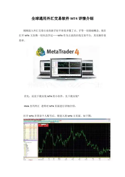 全球通用外汇交易软件MT4详情介绍