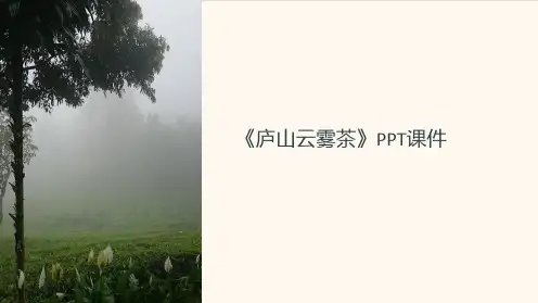 《庐山云雾茶》课件