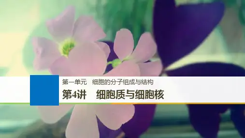 版大一轮高三一轮复习系列选考总复习(浙江专版)生物课件：第一单元 细胞的分子组成与结构 第4讲