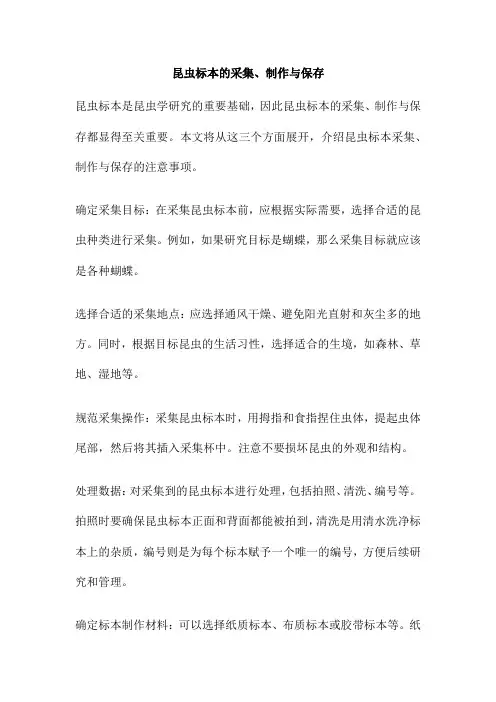 昆虫标本的采集、制作与保存