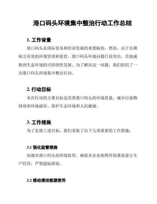 港口码头环境集中整治行动工作总结