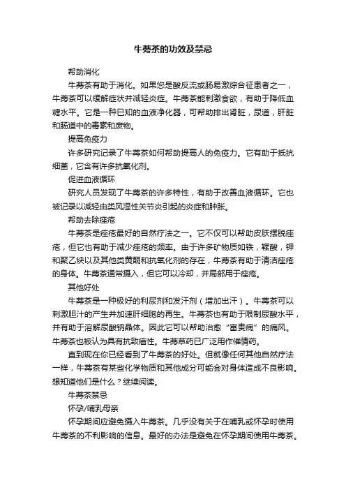 牛蒡茶的功效及禁忌