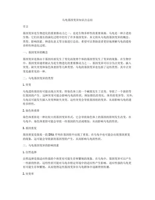 乌龟基因变异知识点总结