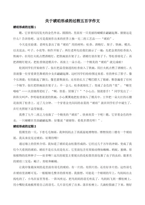 关于琥珀形成的过程五百字作文