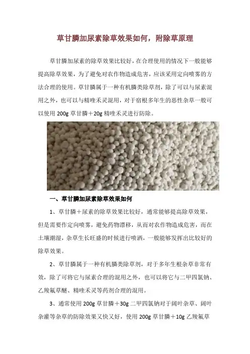 草甘膦加尿素除草效果如何,附除草原理
