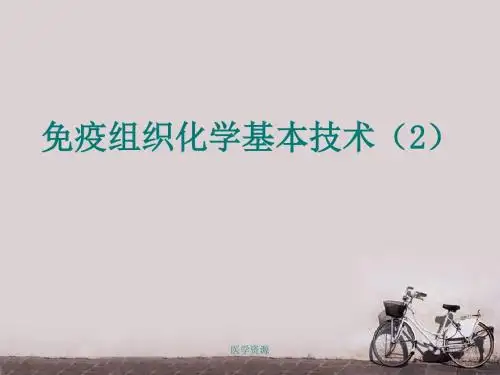 免疫组化理论课  ppt课件