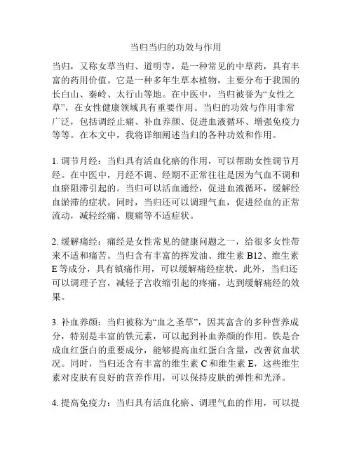 当归当归的功效与作用