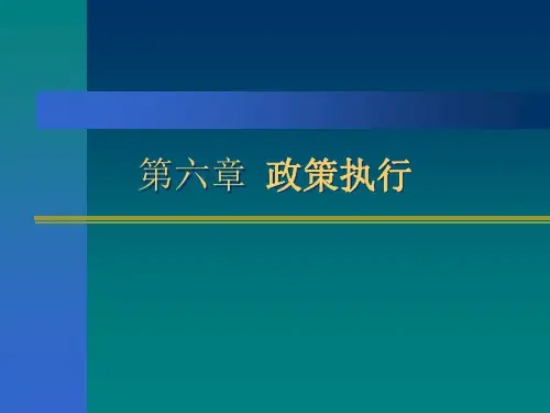 第六章政策执行