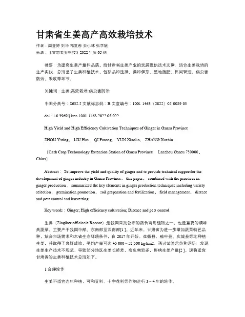 甘肃省生姜高产高效栽培技术